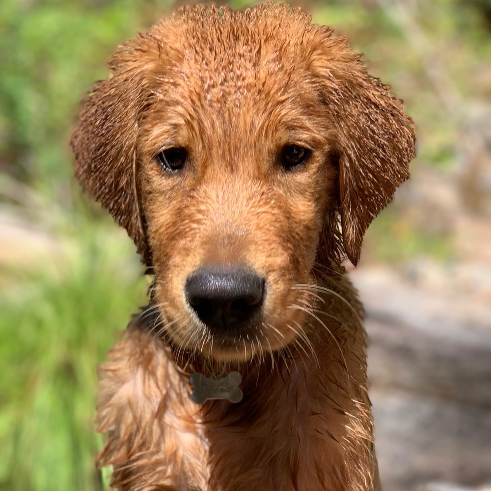 Meet your Posher, Jacq